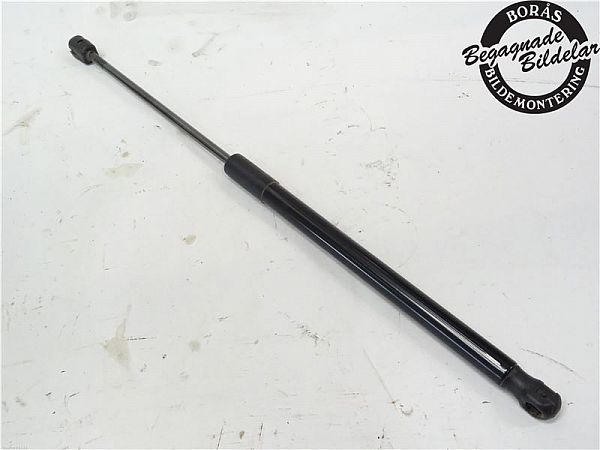 Tailgate gas strut CITROËN C4 II (NC_)