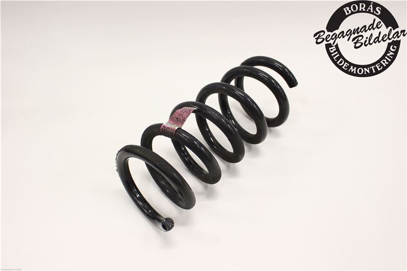 Rear spring - coil FORD USA MUSTANG Coupe