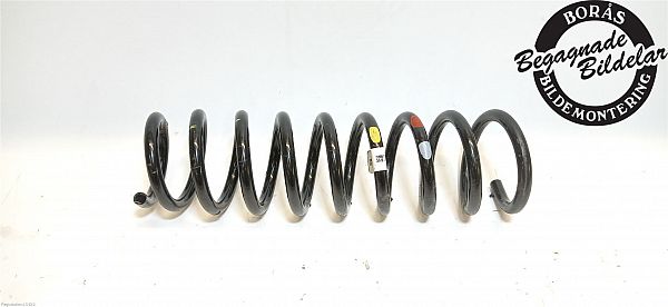 Rear spring - coil  