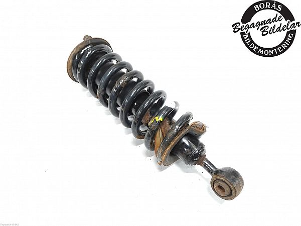 Federbein vorn NISSAN NP300 NAVARA (D40)