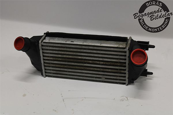 Ladeluftkühler FORD FIESTA VI (CB1, CCN)