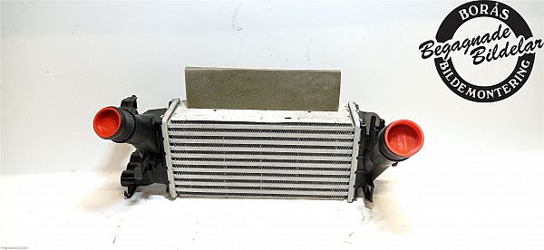 Ladeluftkühler FORD FIESTA VII (HU, HF)