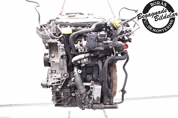 Motor