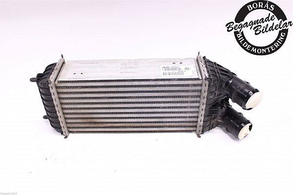 Heating element PEUGEOT 2008 I (CU_)