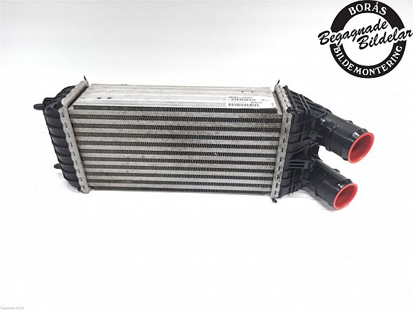 Heating element PEUGEOT 2008 I (CU_)