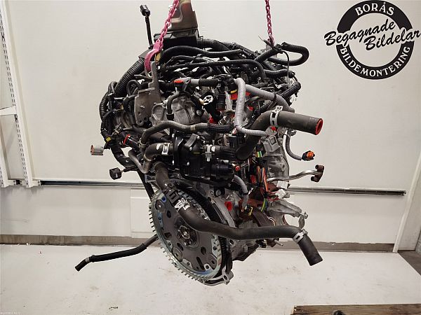 Hana Nissan Murano X-trail Primera QR25DE VQ35DE QR20 Genuine