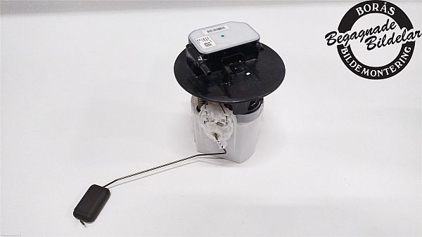 Kraftstoffpumpe DS DS 4 II (F_, FB_, F3_)