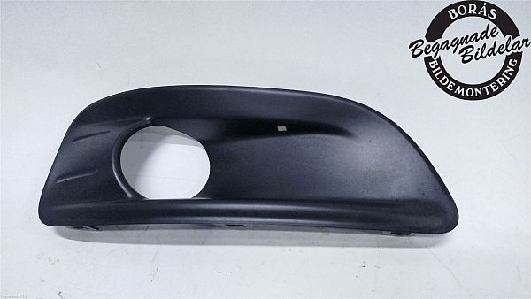 Kølergitter CITROËN C4 II (B7)