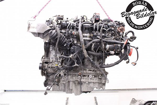 36050504 : Motor - Autoparts24