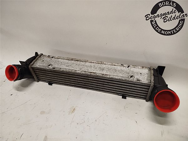 Luchtkoeling bagage BMW 1 (E81)