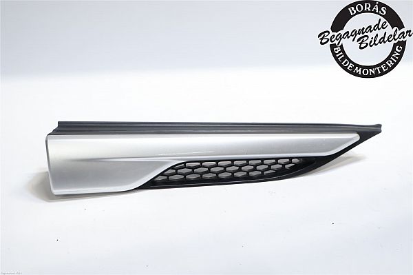 Fender grille