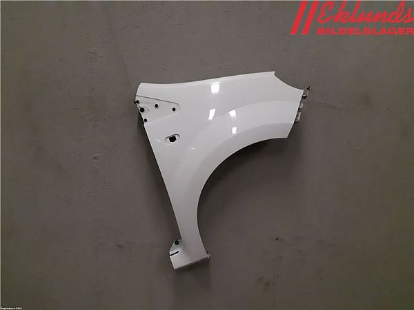 Front wing right RENAULT TWINGO II (CN0_)