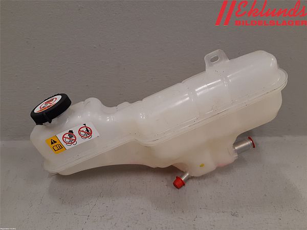 Fuel expansion tank