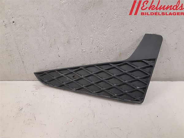 Fender grille