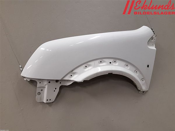 Front wing left FORD TRANSIT CONNECT (P65_, P70_, P80_)
