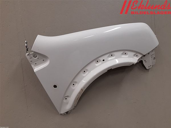 Front wing right FORD TRANSIT CONNECT (P65_, P70_, P80_)
