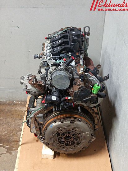 Motor