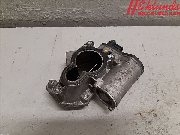EGR Klep / EGR ventiel