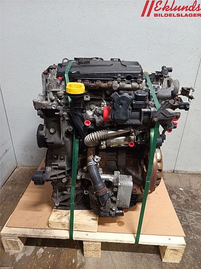 Motor