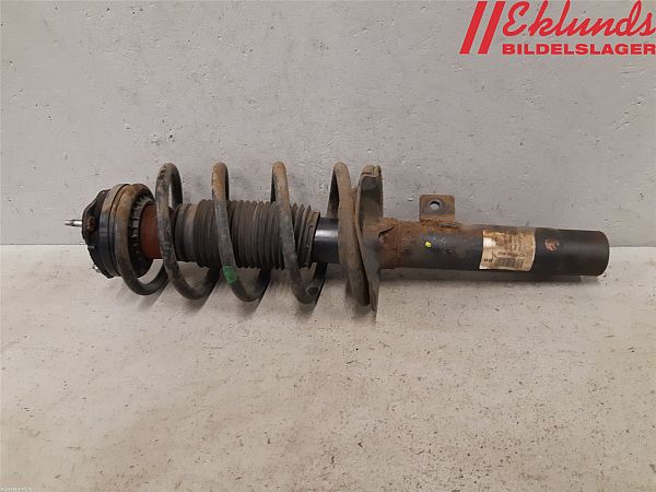 Fjederben for FORD TRANSIT CONNECT (P65_, P70_, P80_)