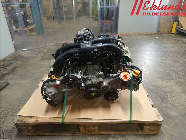 Motor SUBARU FORESTER (SJ_)