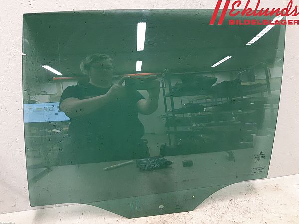 Rear door window