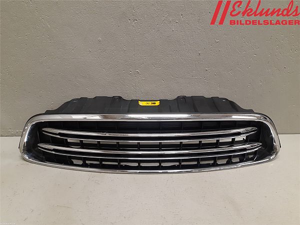 Kühlergrill MINI MINI COUNTRYMAN (R60)
