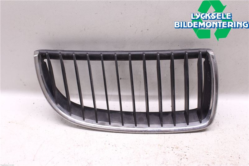 calandre BMW 3 Touring (E91)