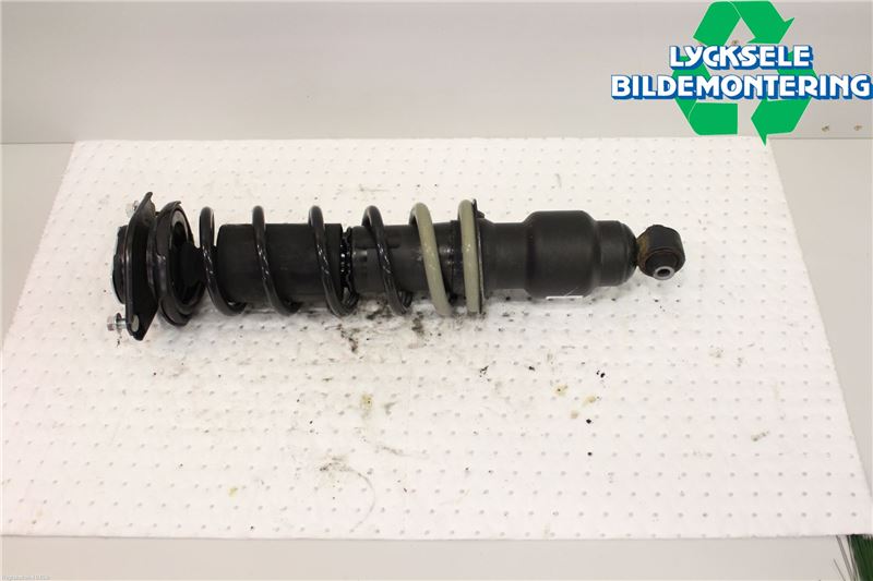 20365SG110: Front shock, Rear shock, Shock absorber - rear