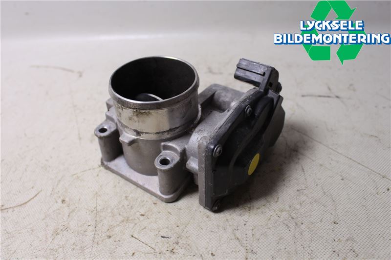 Throttle body