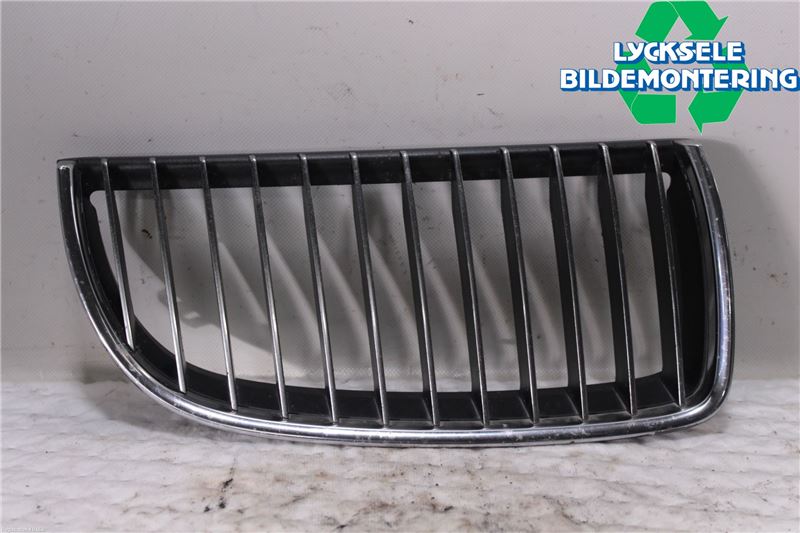 calandre BMW 3 Touring (E91)