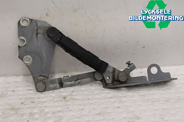 Motorkap scharnier VW GOLF PLUS (5M1, 521)