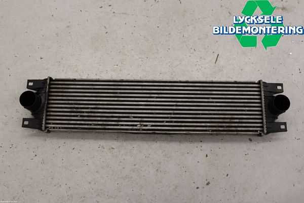 Heating element OPEL MOVANO Platform/Chassis (X70)
