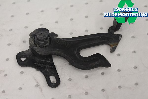 Hood latch hook