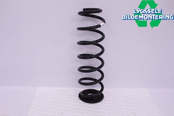 Coil spring