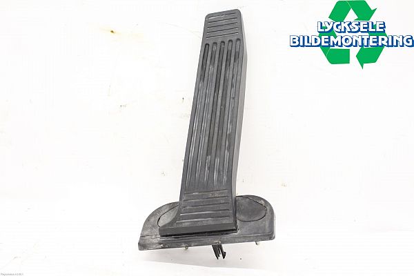 Speederpedal TOYOTA RAV 4 V (_A5_, _H5_)