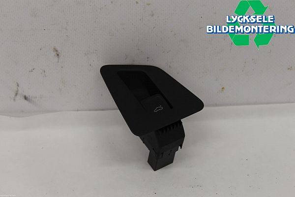 Door window switch trim