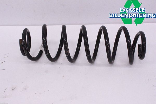 Coil spring
