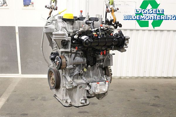 Motor RENAULT CLIO IV (BH_)