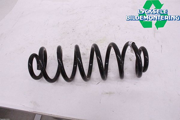 Coil spring