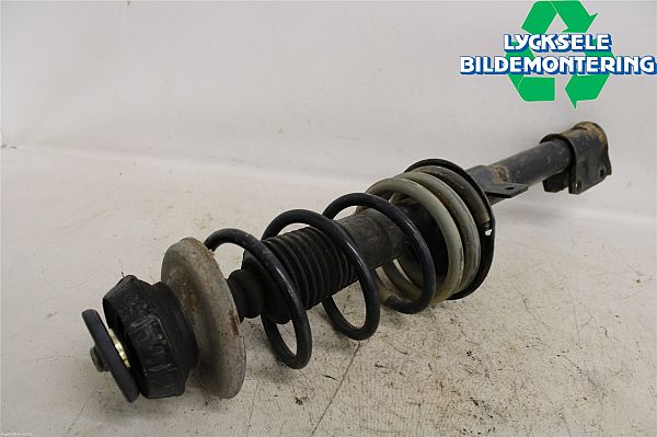 Federbein hinten DACIA DUSTER (HM_)