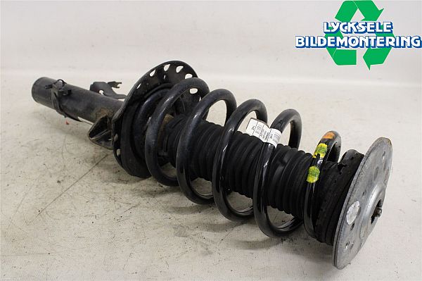 Federbein vorn LAND ROVER DISCOVERY SPORT (L550)
