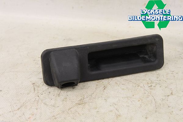 Tailgate handle with camera