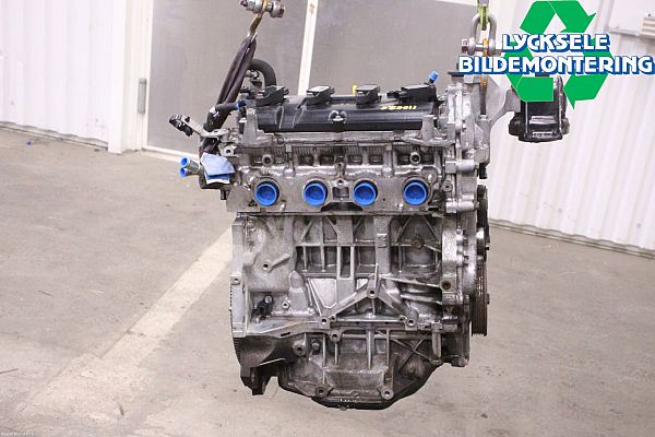 Motor NISSAN QASHQAI / QASHQAI +2 I (J10, NJ10, JJ10E)