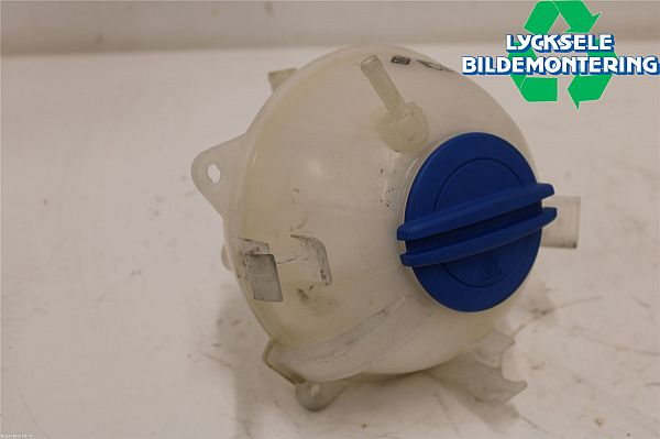 Coolant expansion tank