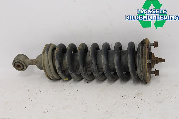 Federbein vorn NISSAN NP300 NAVARA (D40)