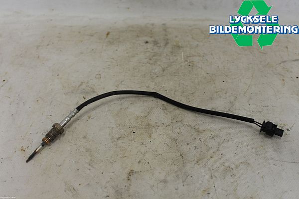 Lambdasonde BMW 3 Touring (F31)