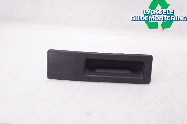 Tailgate exterior handle