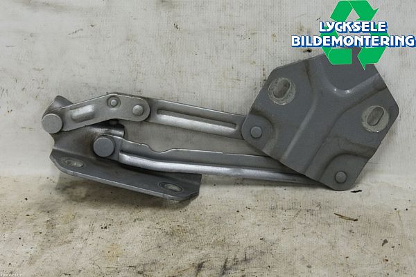 Hood hinges