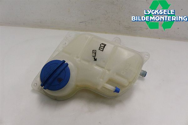 Coolant expansion tank cap